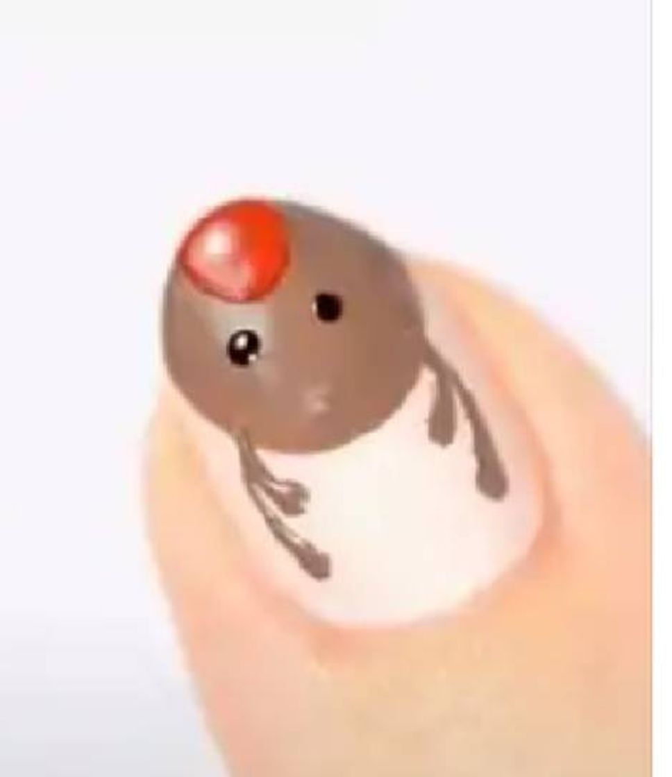 Social 🦄Uñas Navideñas🦄