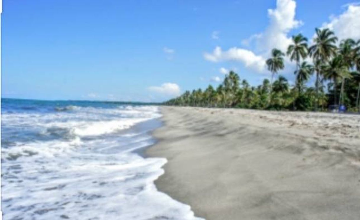 Place Palomino Guajira