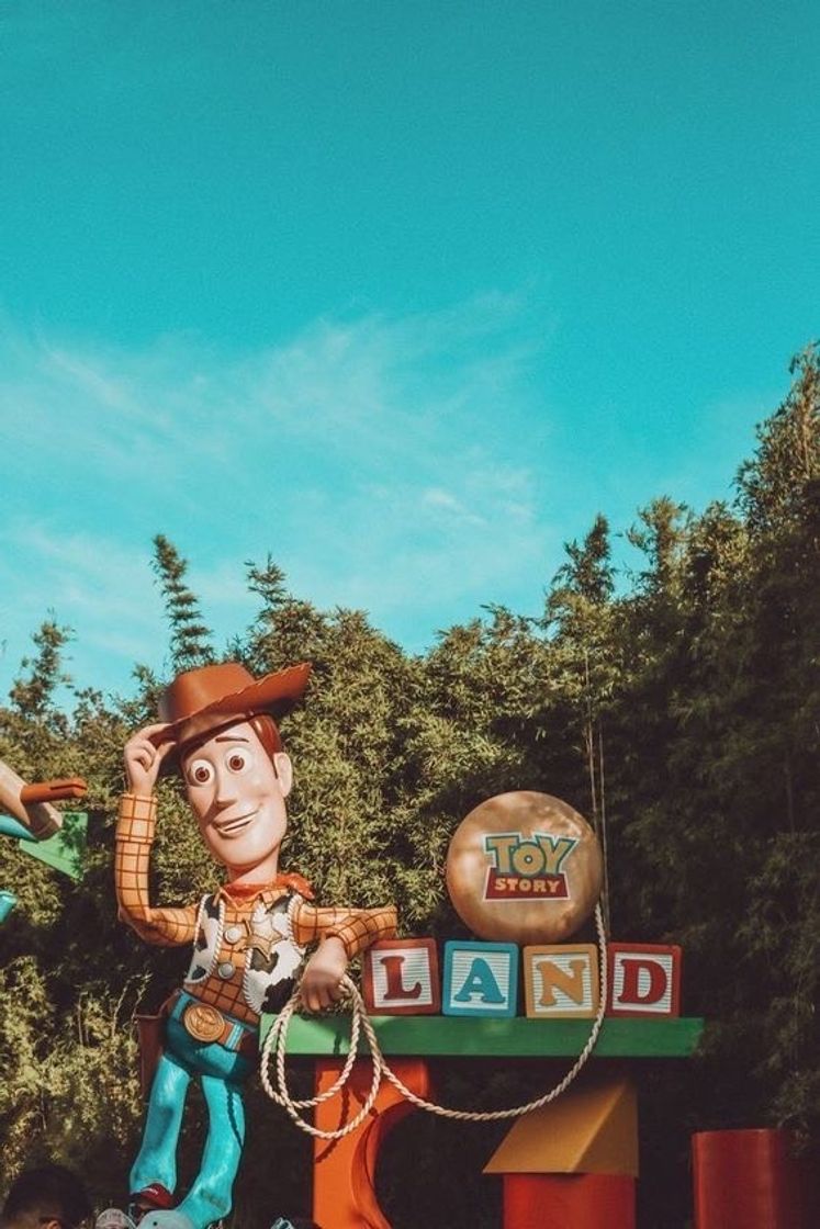 Place Toy Story Land