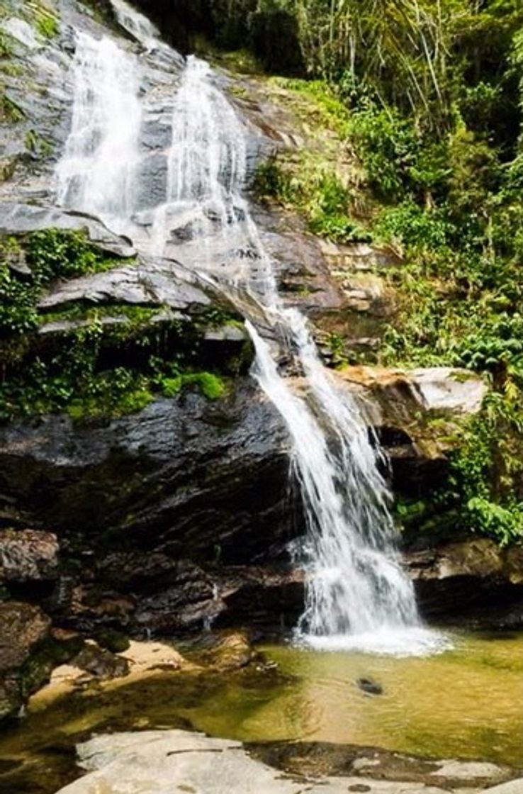 Lugar Floresta da Tijuca