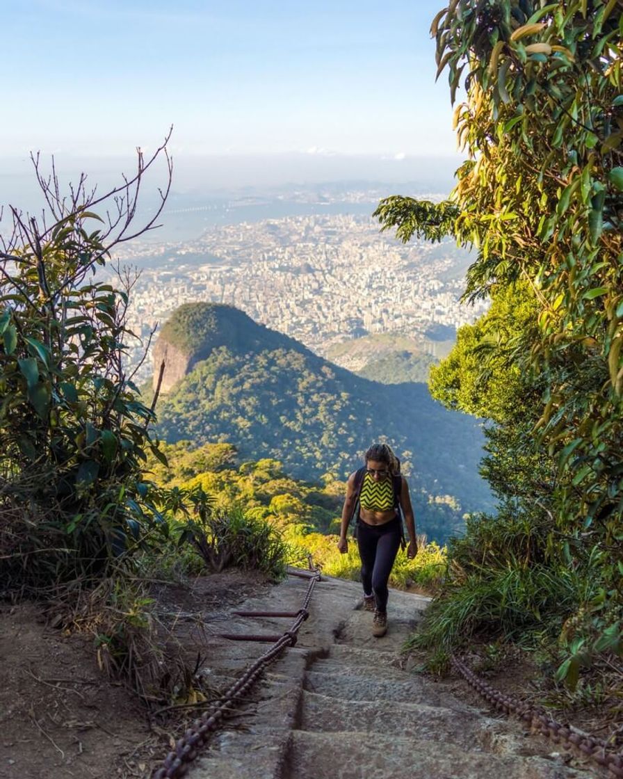 Lugar Pico da Tijuca
