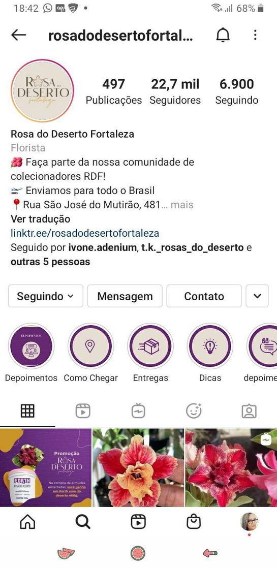 Fashion Perfil insta