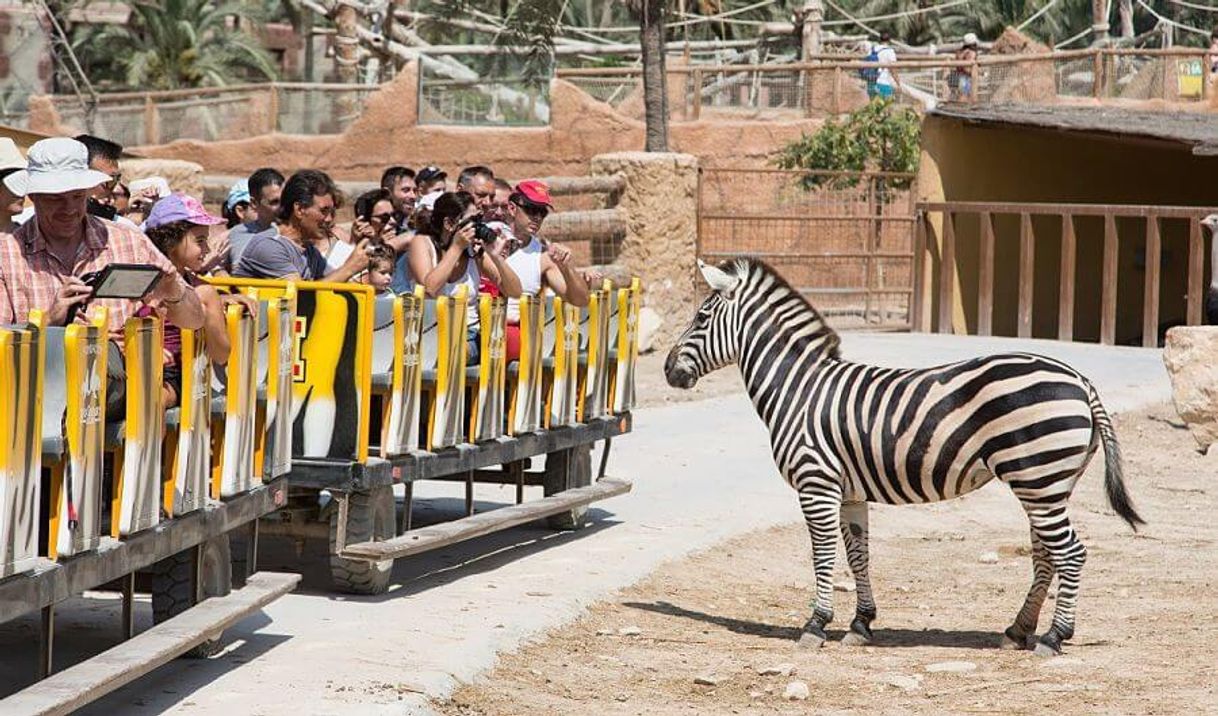 Place Rio Safari Elche