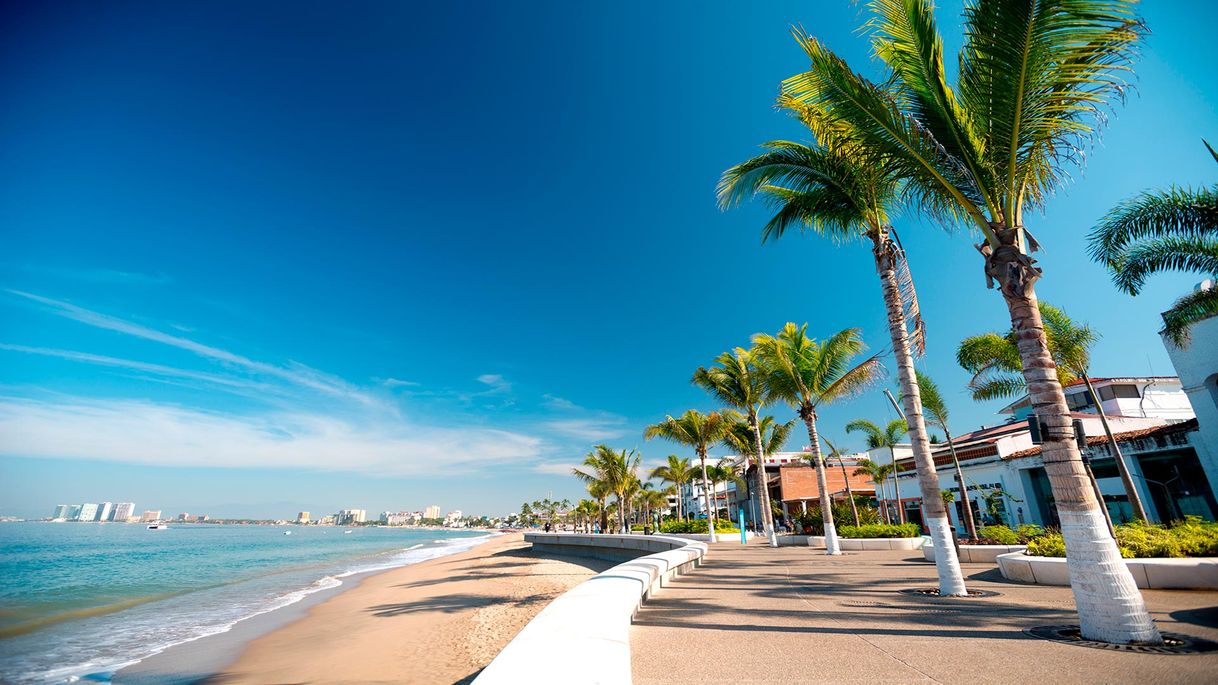 Lugar Puerto vallarta malecon