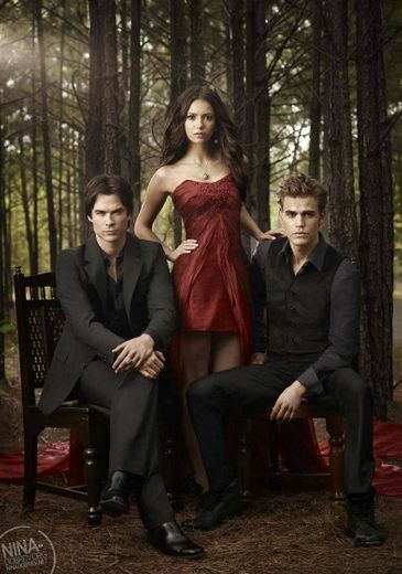 The vampires diaries