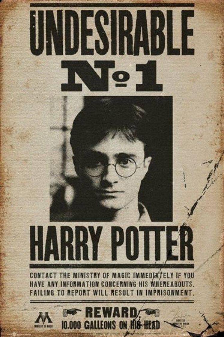 Producto Pôster de Harry Potter 