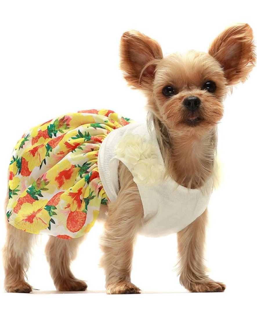 Fashion Vestido de verão com flores tropicais para cães e filhotes.