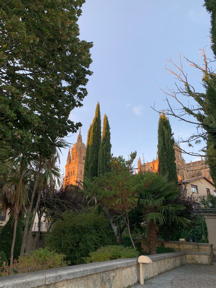 Lugar Huerto de Calixto y Melibea