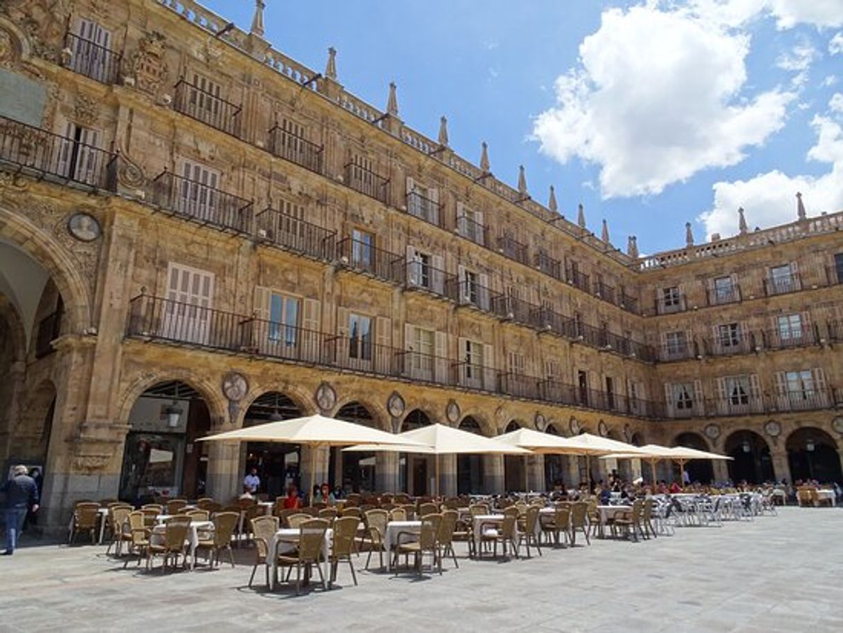 Restaurantes El antojo de la plaza