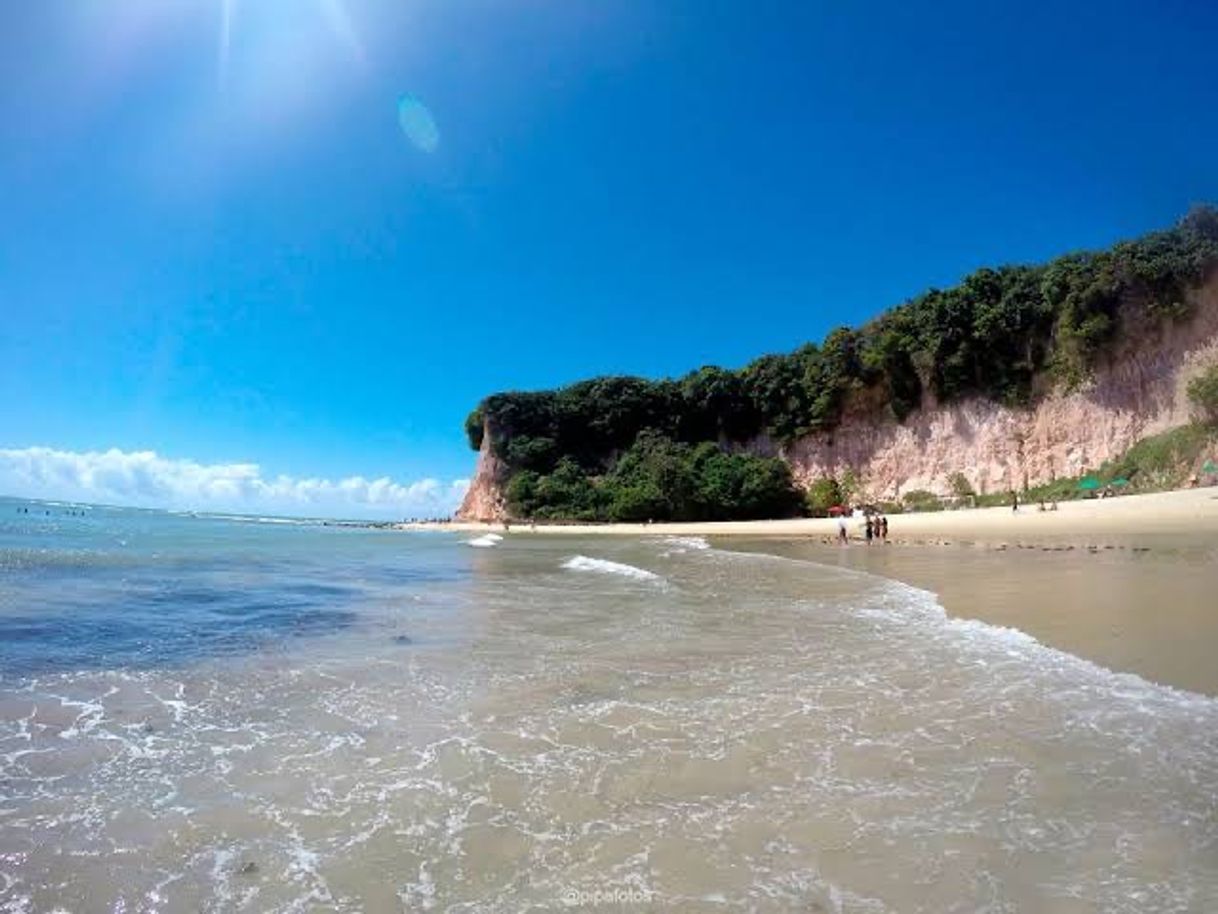 Place Playa Bahia De Los Delfines