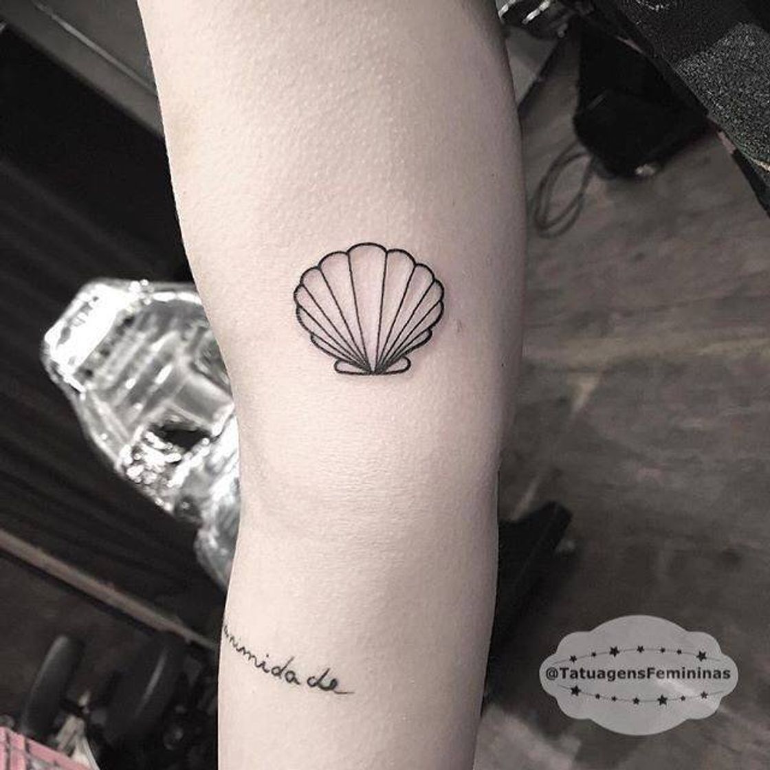 Fashion Amo tattoo de conchas😍🌊