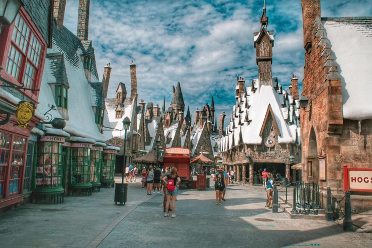 Place The Wizarding World of Harry Potter - Diagon Alley