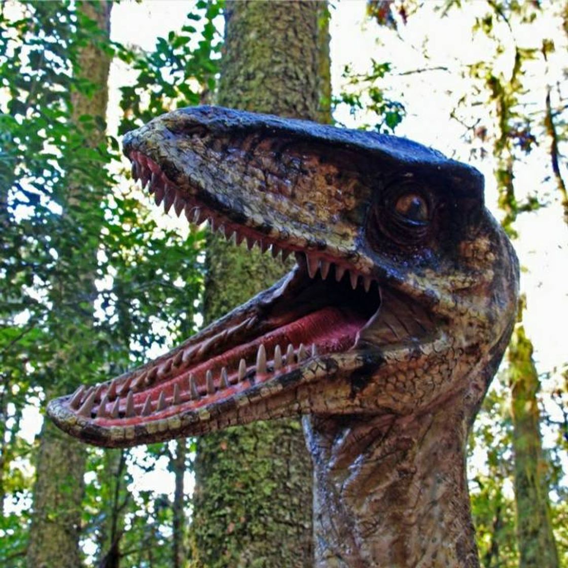 Vale dos Dinossauros 