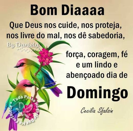 Bom diaaa