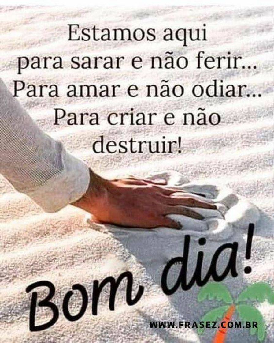 Moda Bom dia