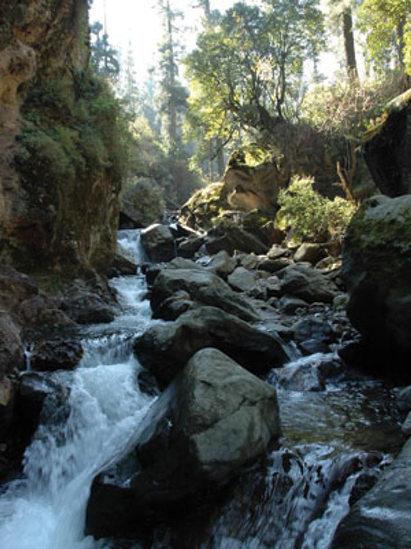 Lugares Río Magdalena