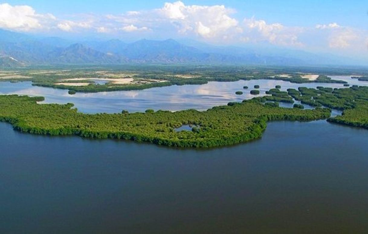 Places Ciénaga Grande De Santa Marta