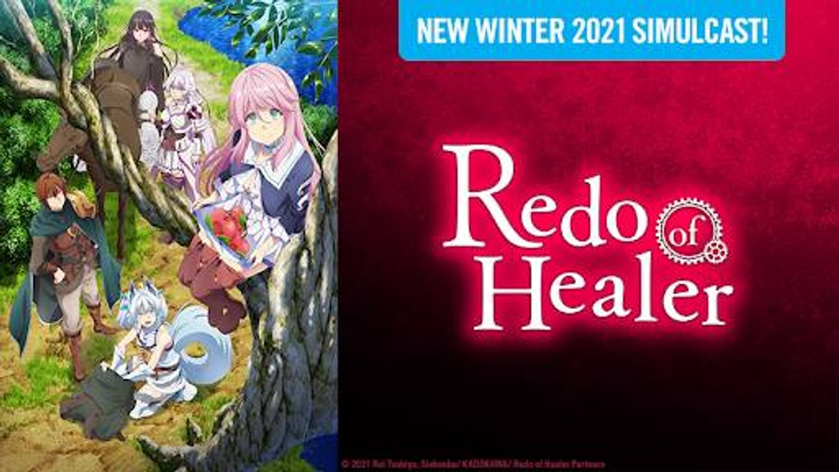 Social Redo of healer
