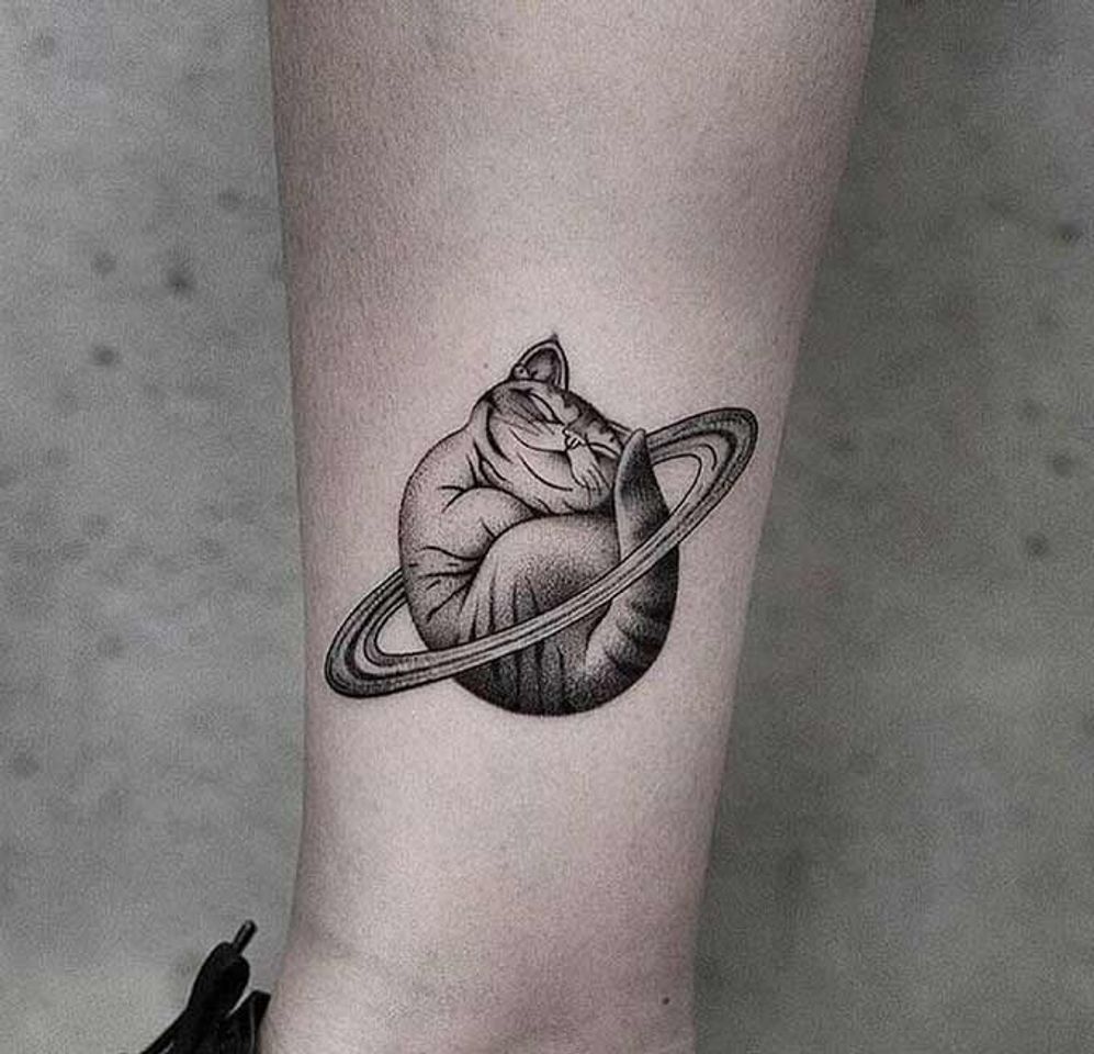 Social Planet cat 
