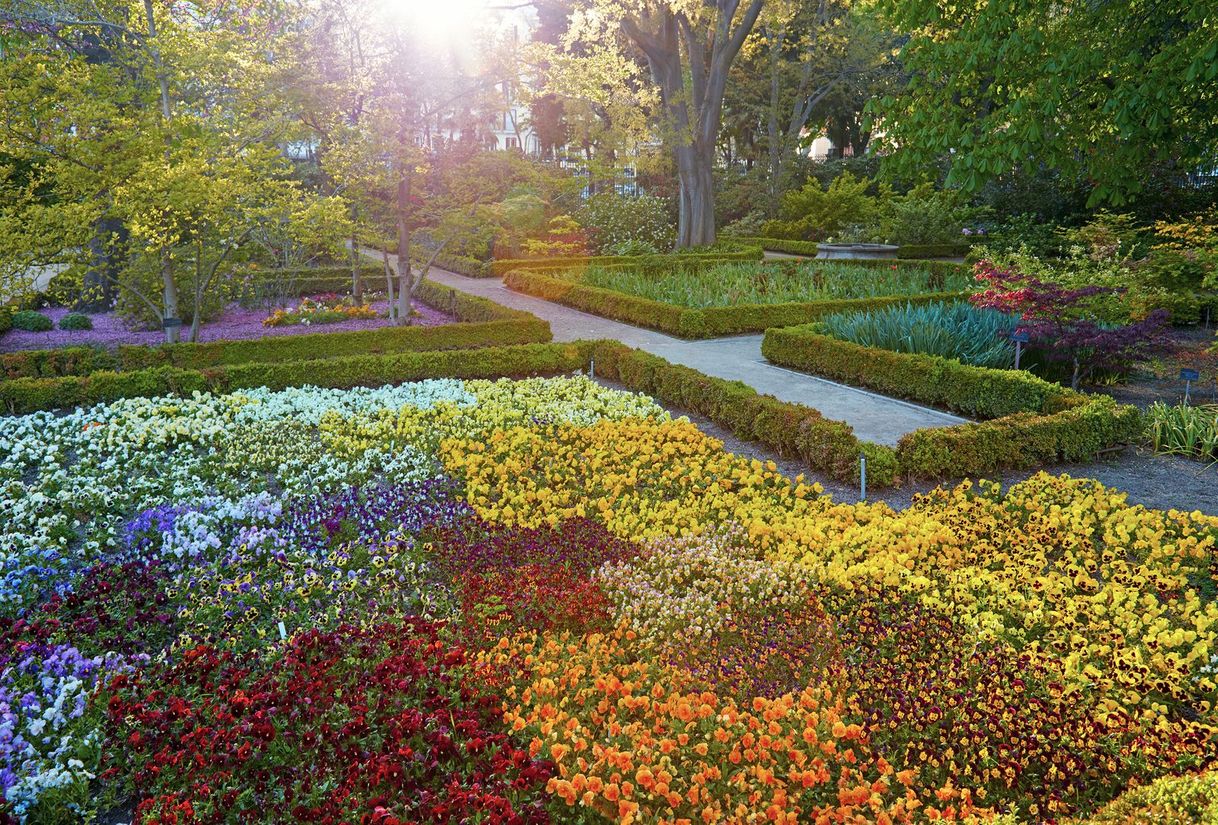 Place Real Jardín Botánico