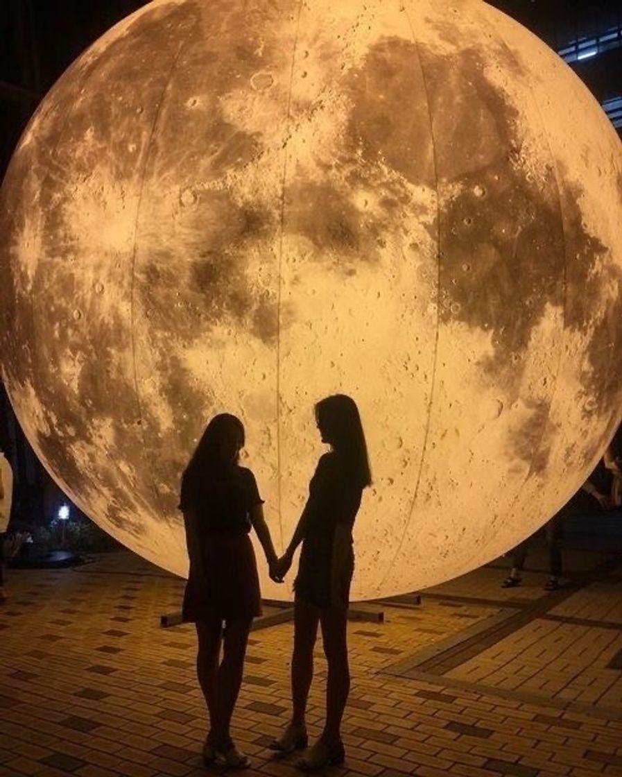 Moda moon 