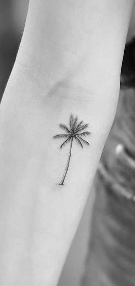 Fashion Tattoo de coqueiro 🌴 