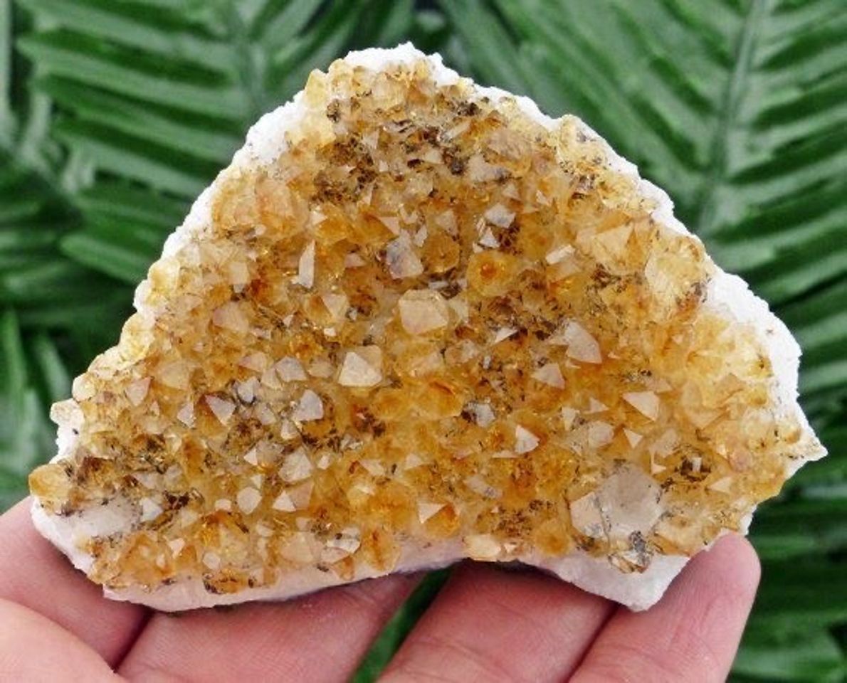 Social Cuarzo citrino