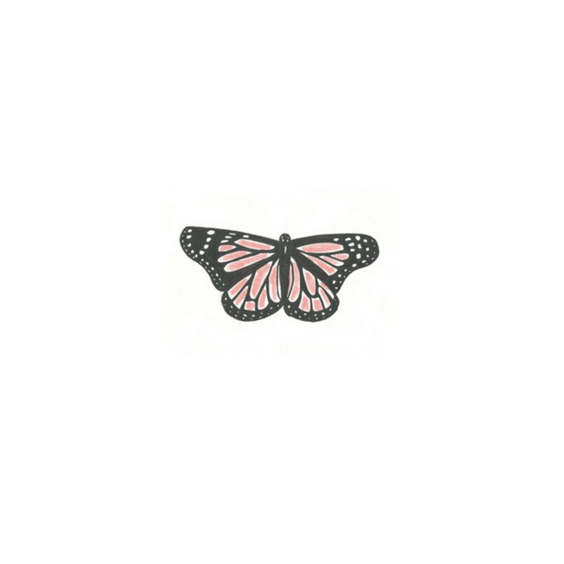 Canción Butterfly