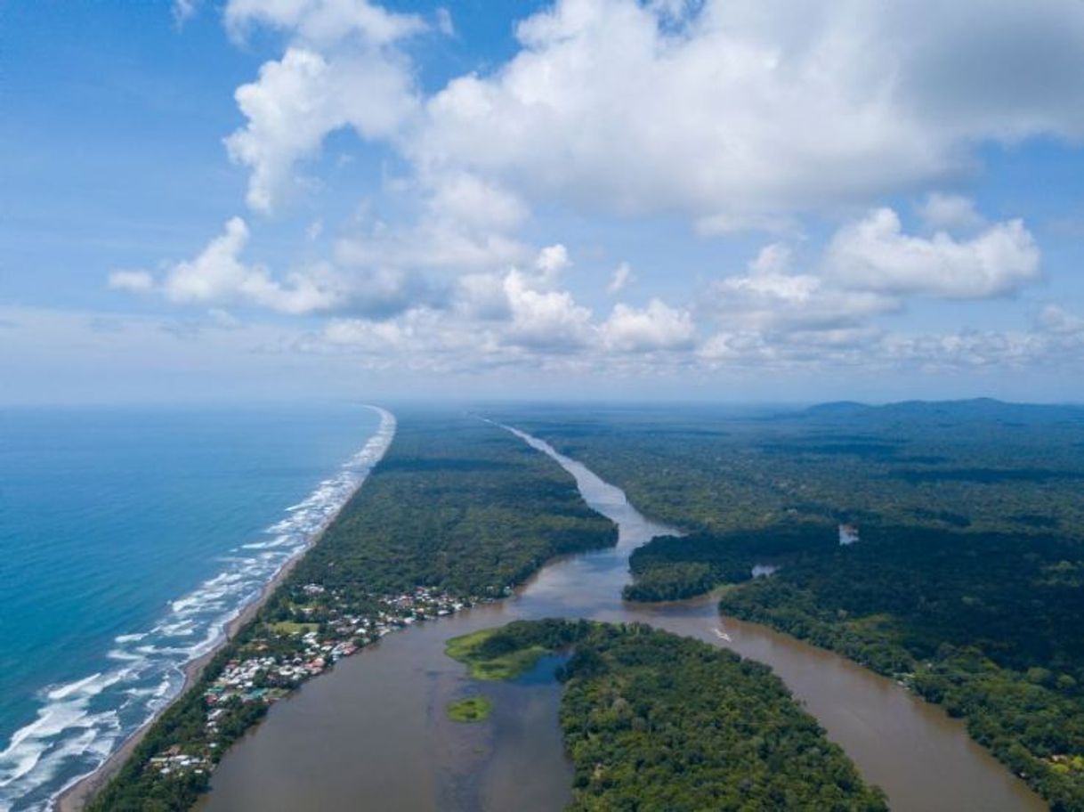 Lugar Tortuguero