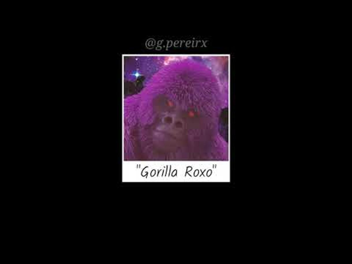 Canción Gorilla Roxo