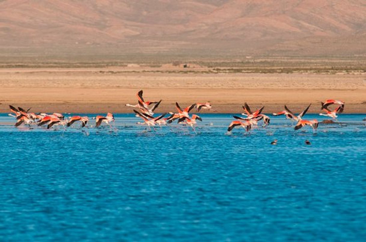 Place Monumento Natural Laguna de los Pozuelos