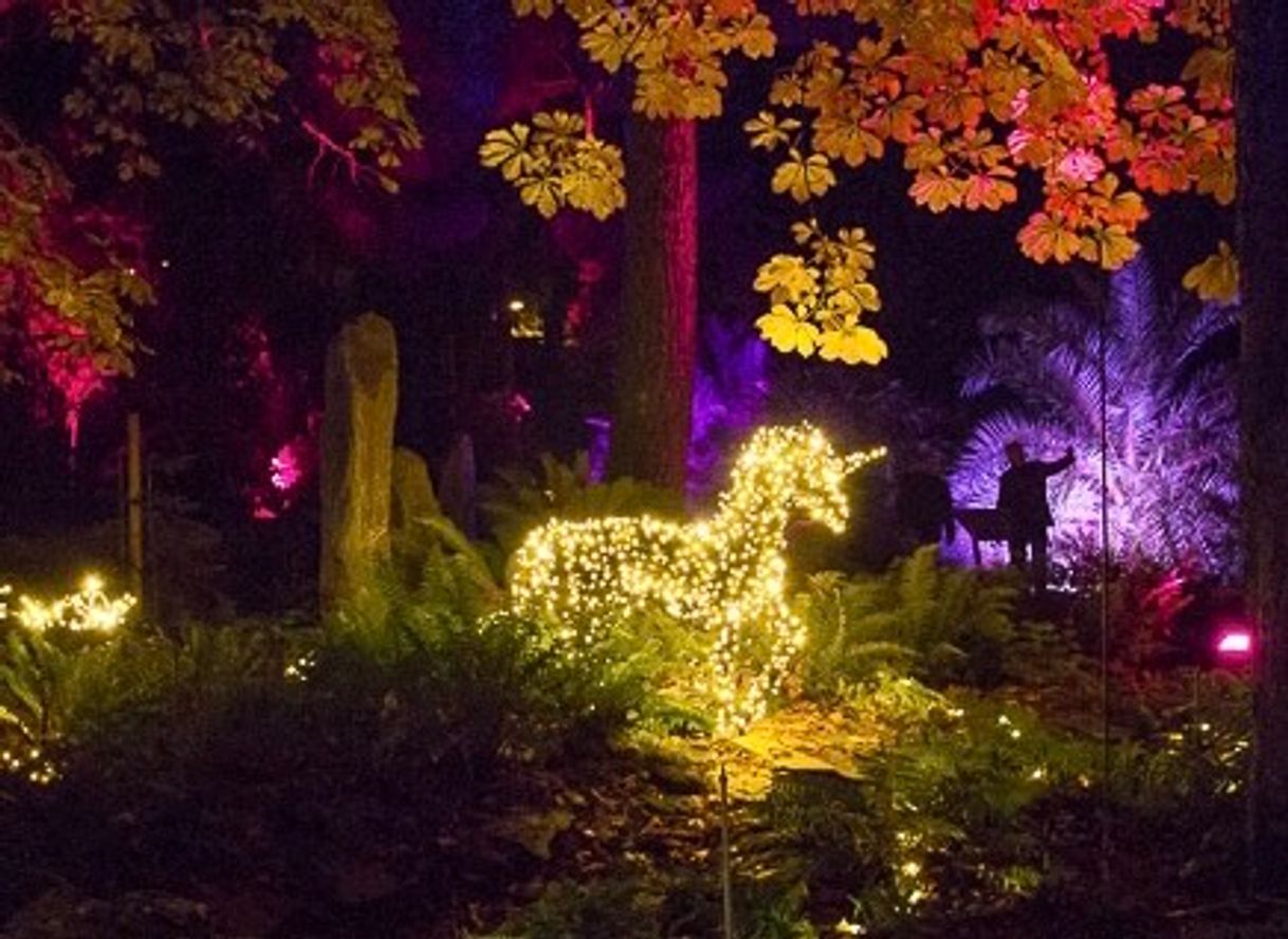 Fashion Jardín botánico de noche