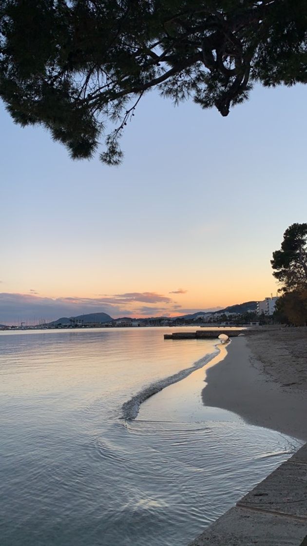 Lugar Puerto de Pollensa