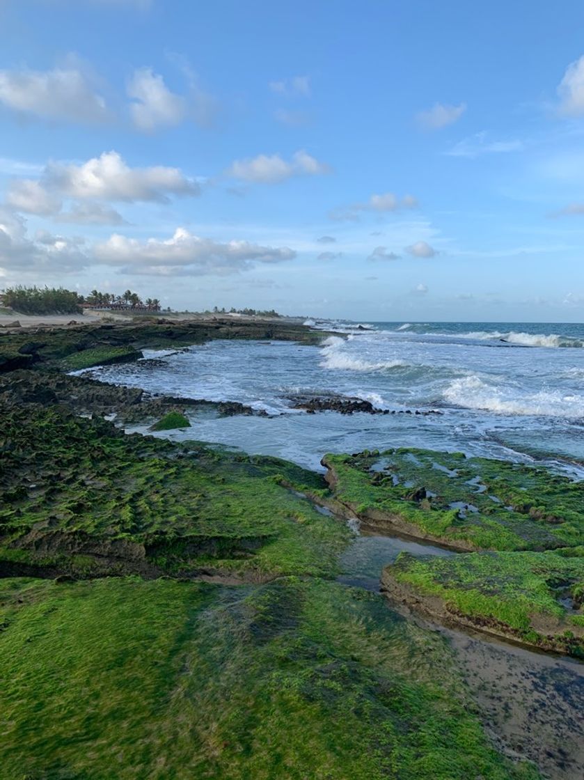 Lugar Praia de Barreta