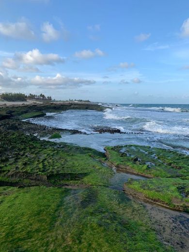 Praia de Barreta