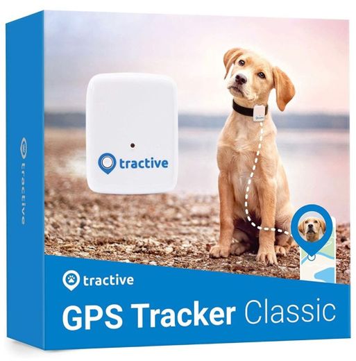 Localizador GPS para perros 
