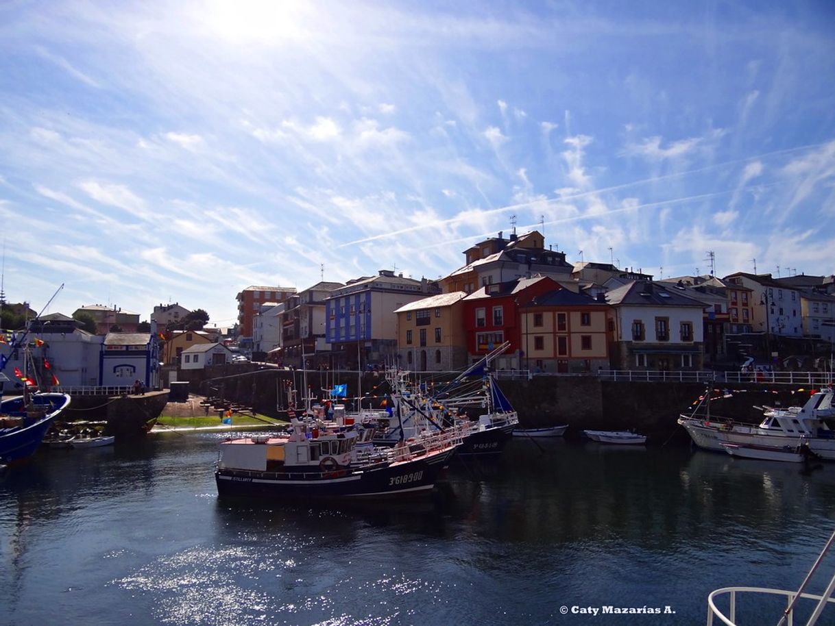 Place Puerto de Vega