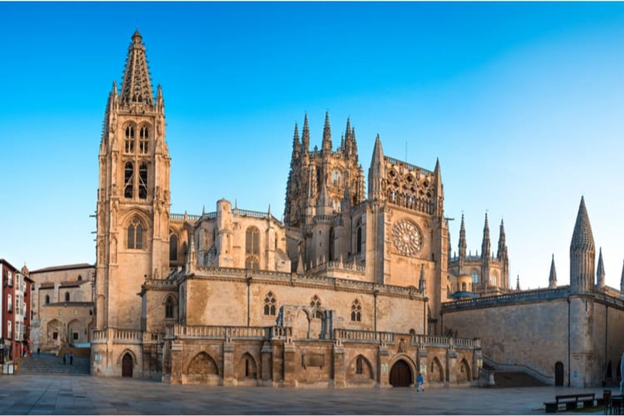 Lugar Catedral de Burgos