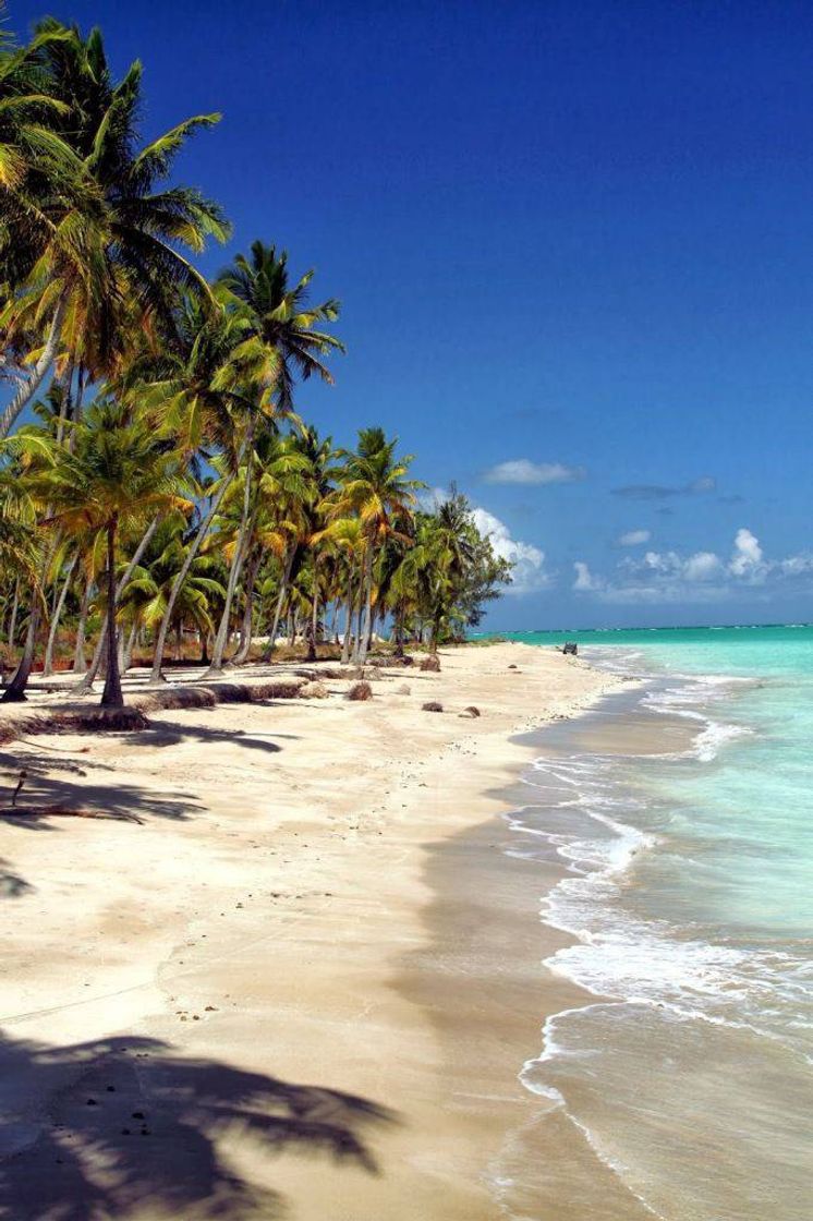 Fashion Praia Brasileiras que parecem  piscina 😍