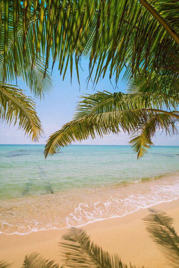 Fashion Bela ilha paradisíaca com mar e praia paisagem 