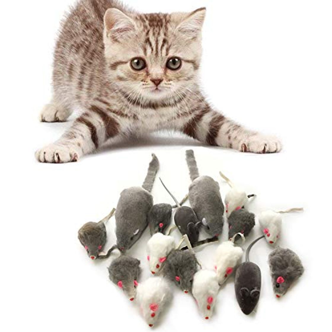 Lugares PietyPet Juguetes para Gatos