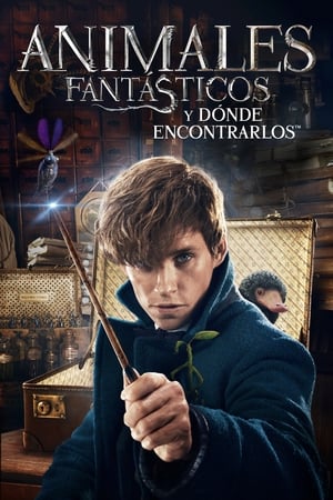 Movie Animales fantásticos y dónde encontrarlos