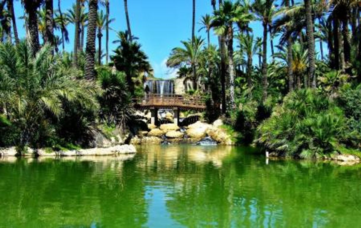 Lugar Parque el palmeral