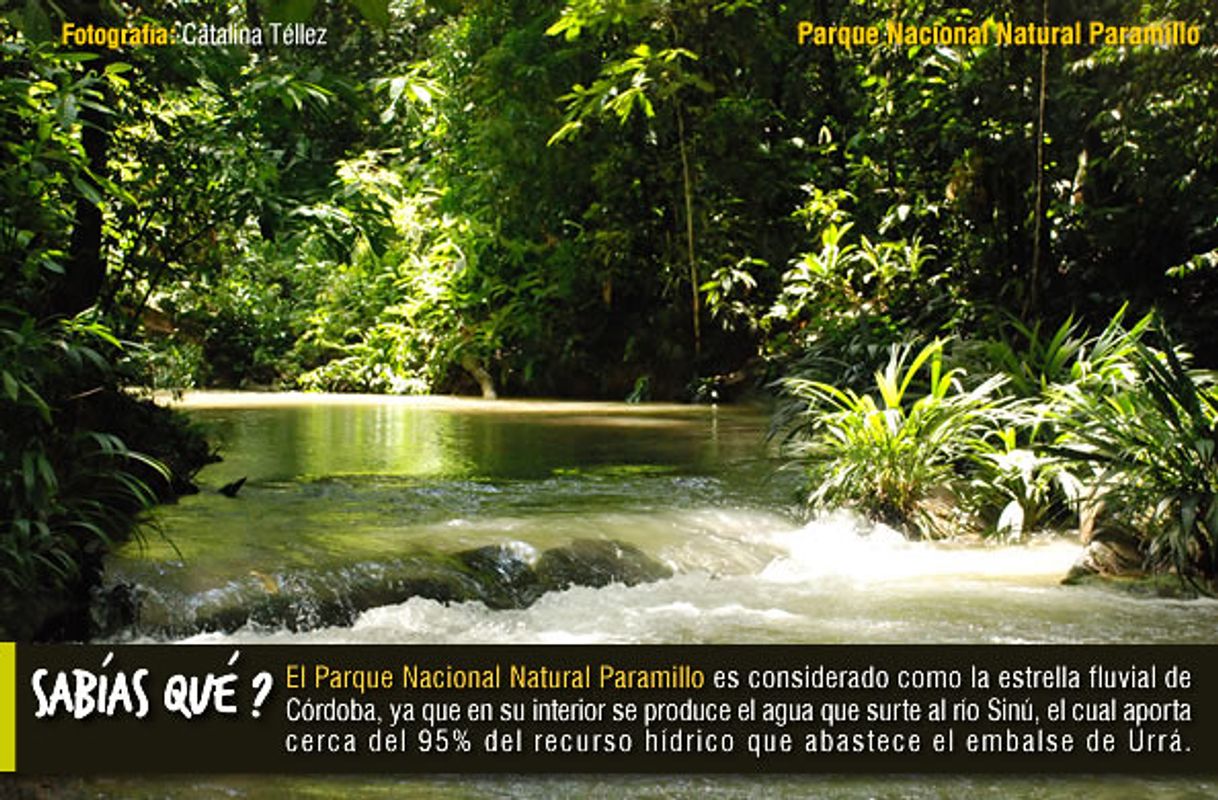 Lugar PARAMILLO-PARQUE NACIONAL NATURAL 