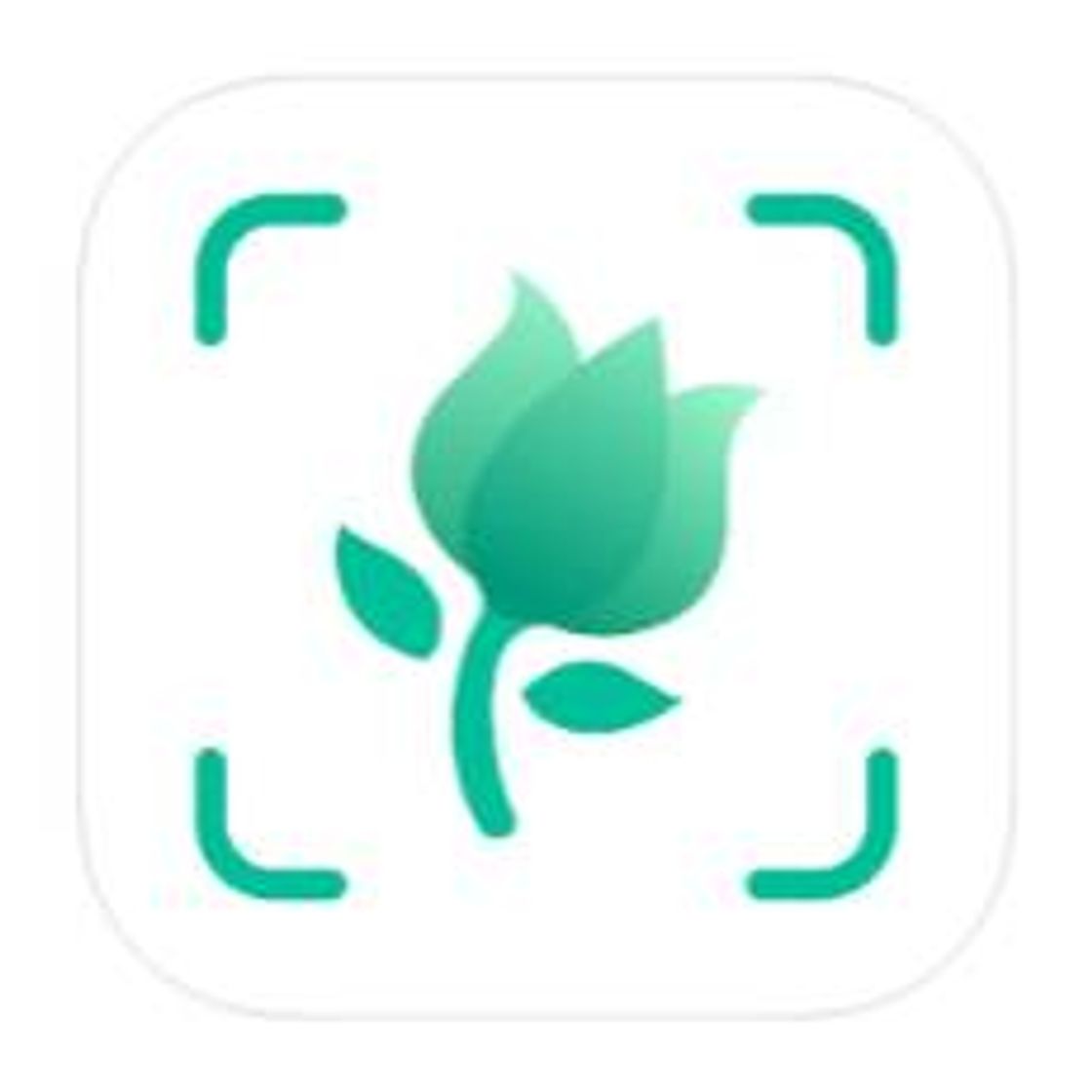 App ‎PictureThis - Plant Identifier on the App Store