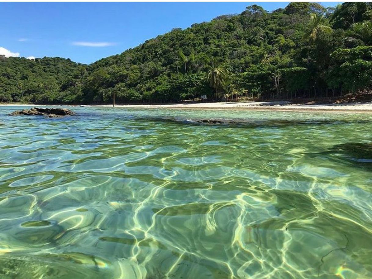 Lugar Ilha dos Frades