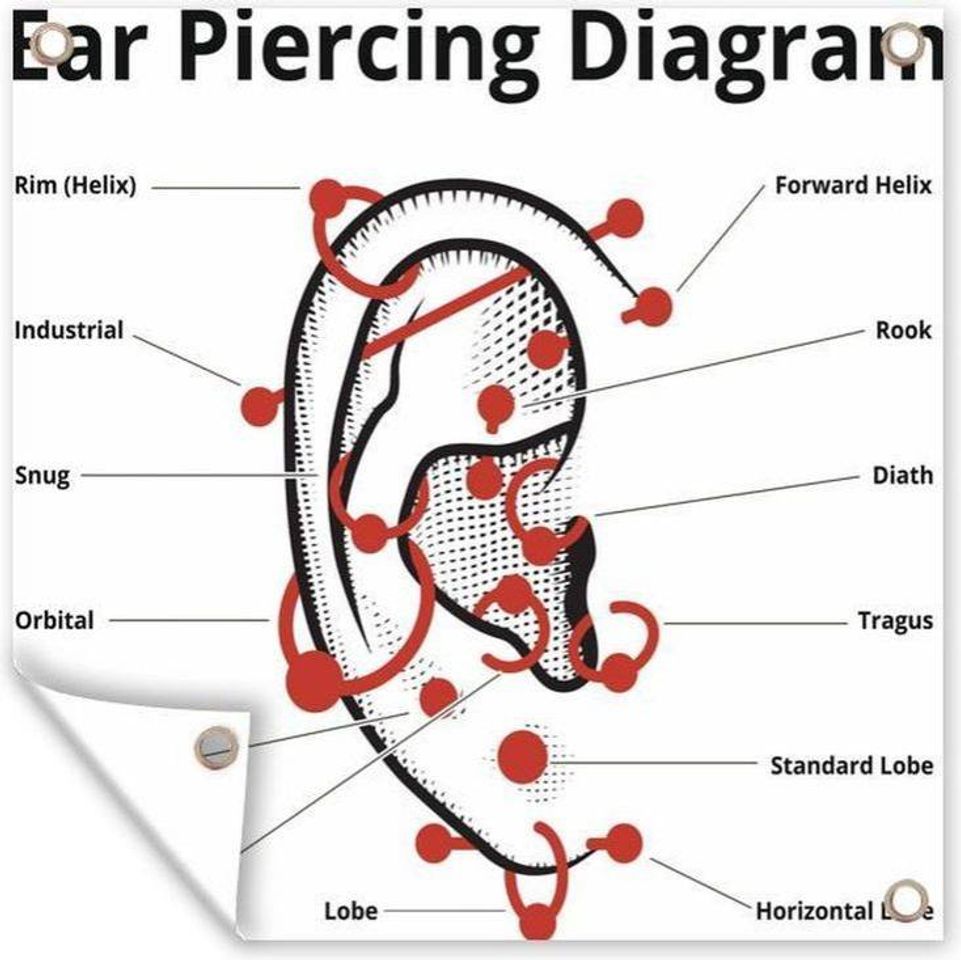 Moda Todos os piercings de orelha😍 (faça com um profissional)