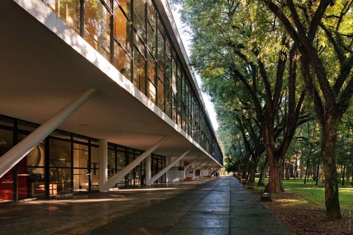 Lugar Parque Ibirapuera