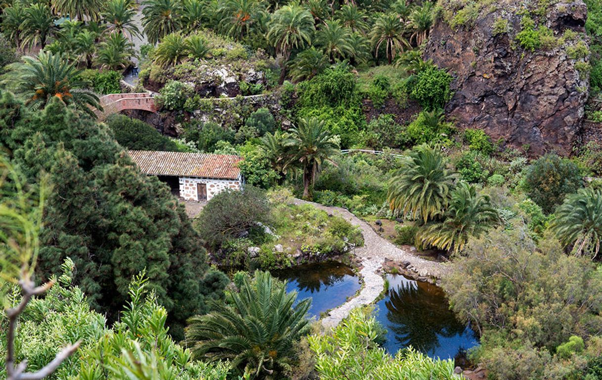 Place Jardín Botánico Viera y Clavijo
