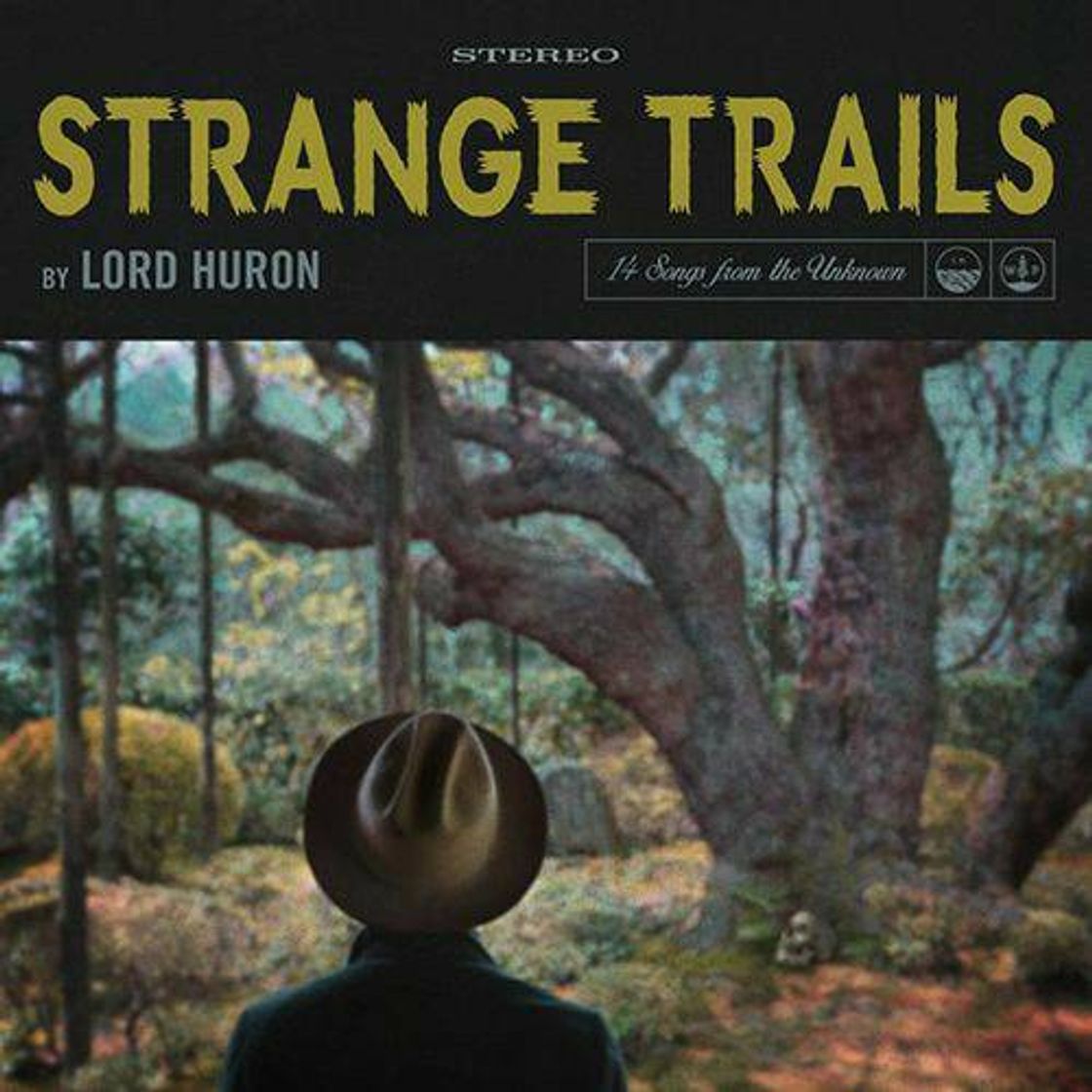 Music Lord Huron - the night we met